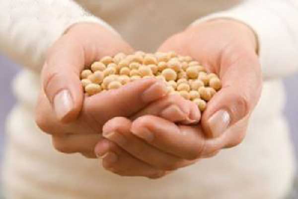 چگونه سویا را خوشمزه بپزیم ؟