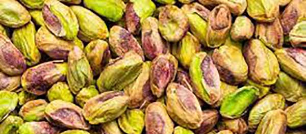 طبع پسته خواص پسته
