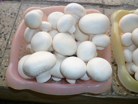 قارچ سرشار از املاح معدنی است سالاد مرغ و قارچ
