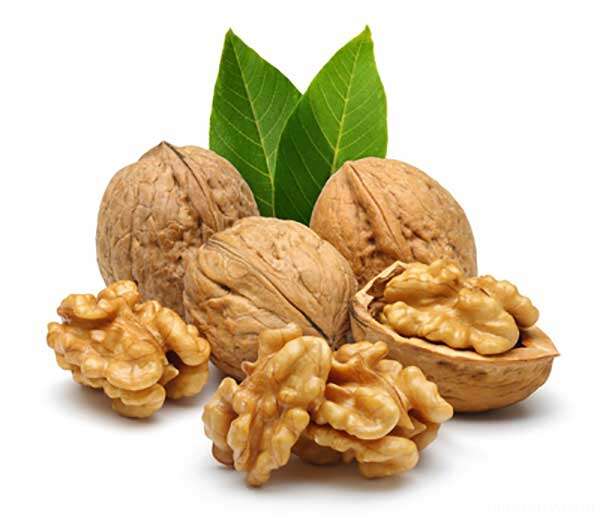 خواص گردو