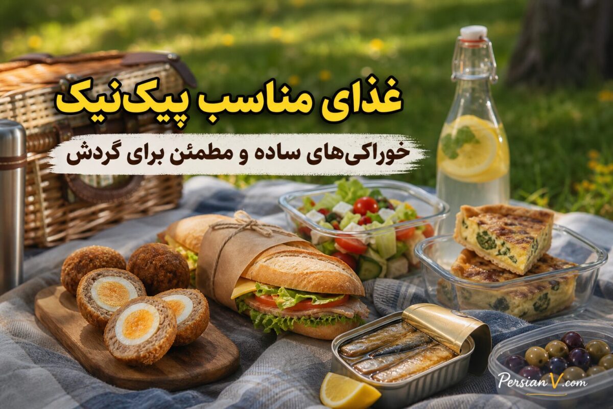 برای پیک‌نیک چه غذایی ببریم؟ پیشنهادهای ساده و مطمئن سرآشپزها
