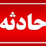 نقش پرده‌ای «حمید» در قتل نجیب / وقتی چاقو و مشروب با نقشه‌ای عاشقانه ترکیب شدند! + عکس