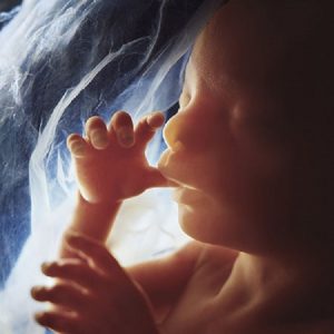 علل سفت شدن جنین در شکم چیست ؟