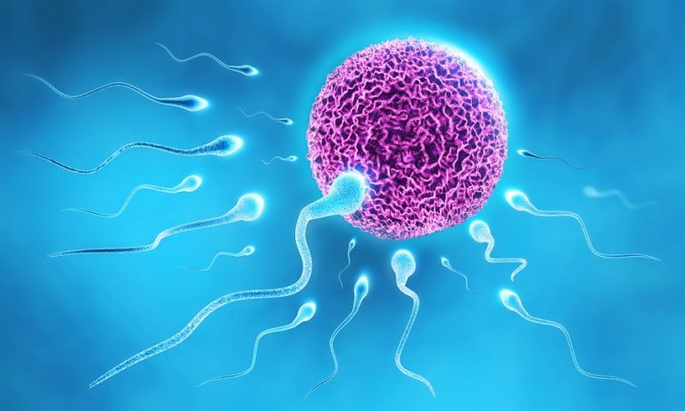 ناباروری با کم تحرکی چه ارتباطی دارد؟