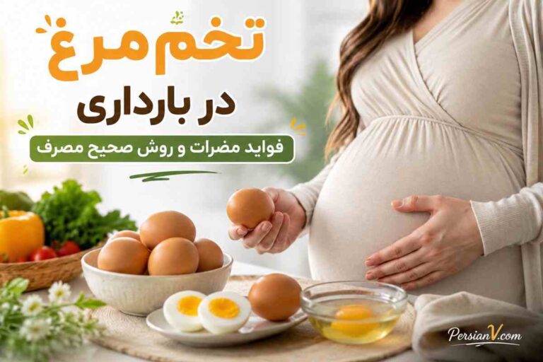 آیا تخممرغ در بارداری ضرر دارد؟ | فواید، مضرات و روش صحیح مصرف