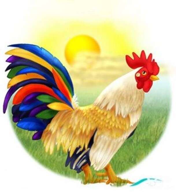 خروس اواز خون خروس اواز خون