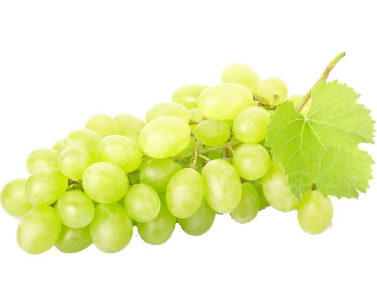 خواص ضد سرطانی انگور