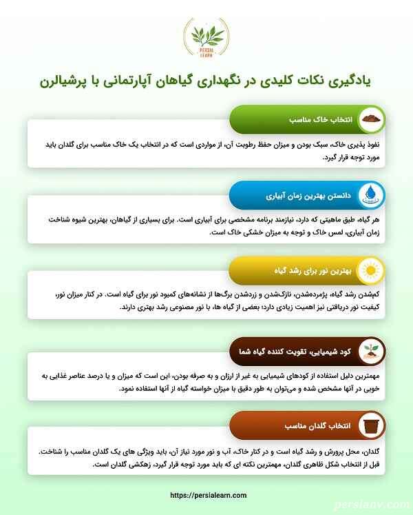 نگهداری گیاهان آپارتمانی