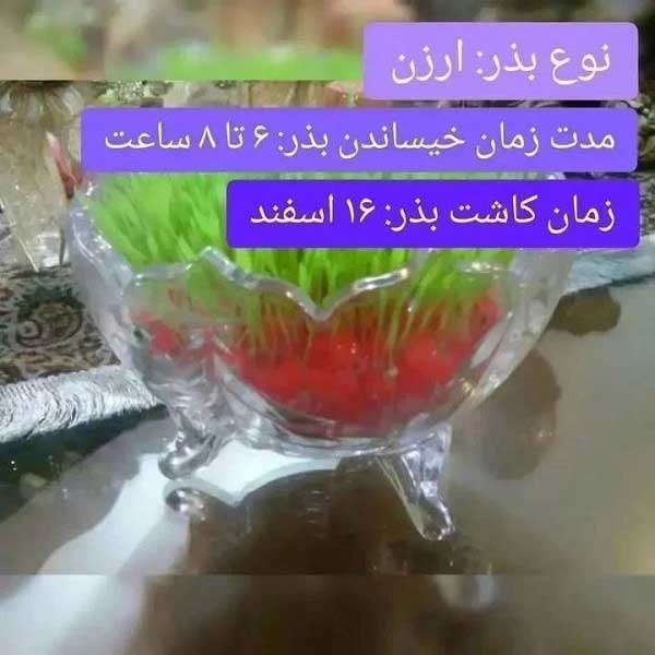 بهترین زمان کاشت ارزن