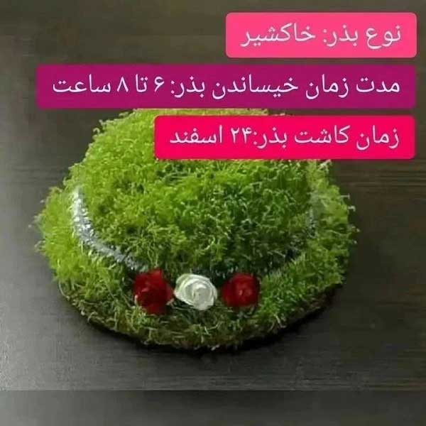 بهترین زمان کاشت خاکشیر
