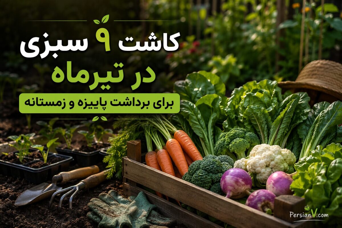 ۹ سبزی که باید در تیرماه بکارید تا پاییز و زمستان سفره‌تان سبز بماند!