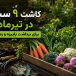 کاشت ۹ سبزی در تیرماه برای برداشت پاییزه و زمستانه - کاشت سبزیجات در تیرماه