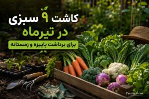 ۹ سبزی که باید در تیرماه بکارید تا پاییز و زمستان سفره‌تان سبز بماند!