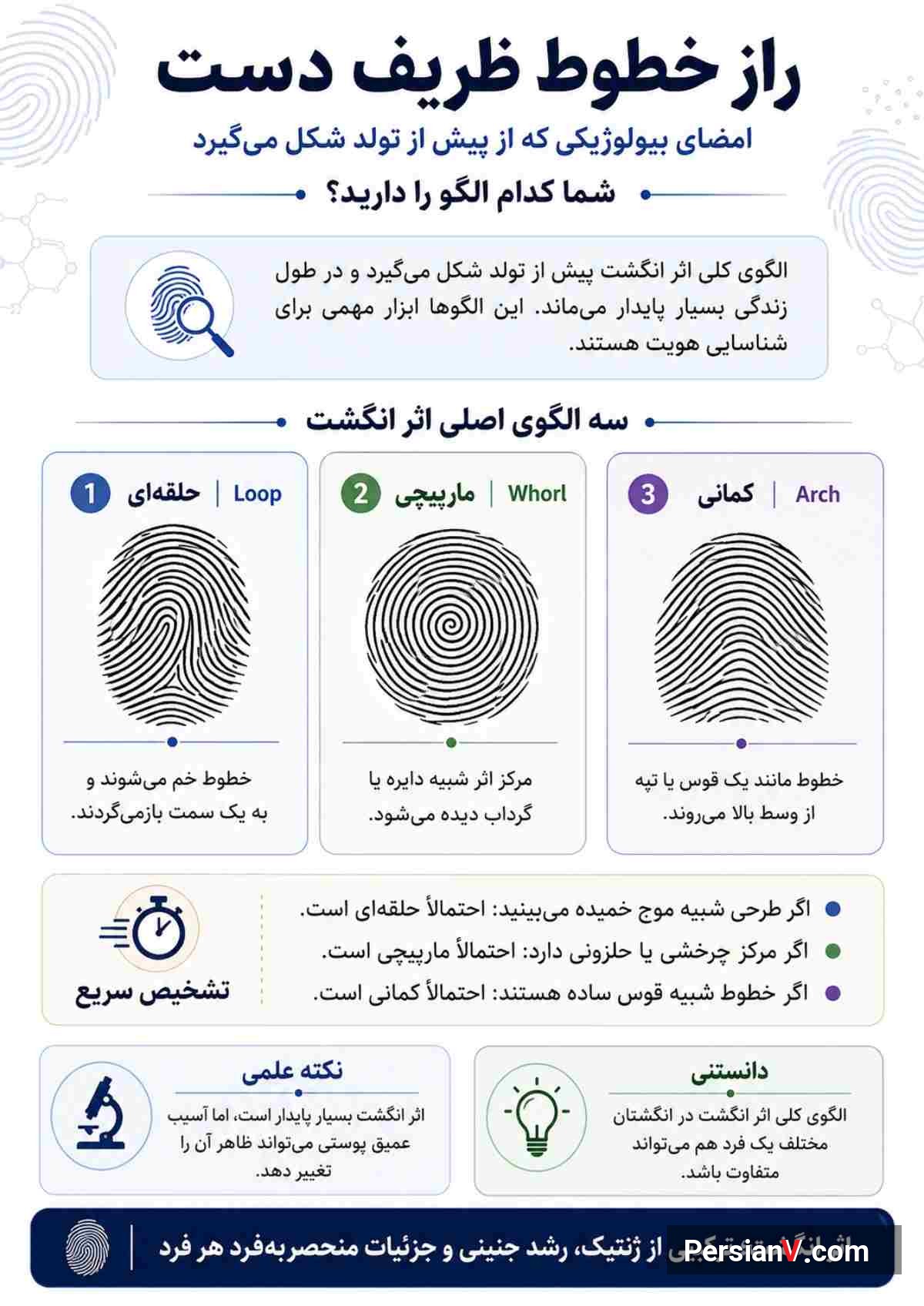 الگوهای اثر انگشت