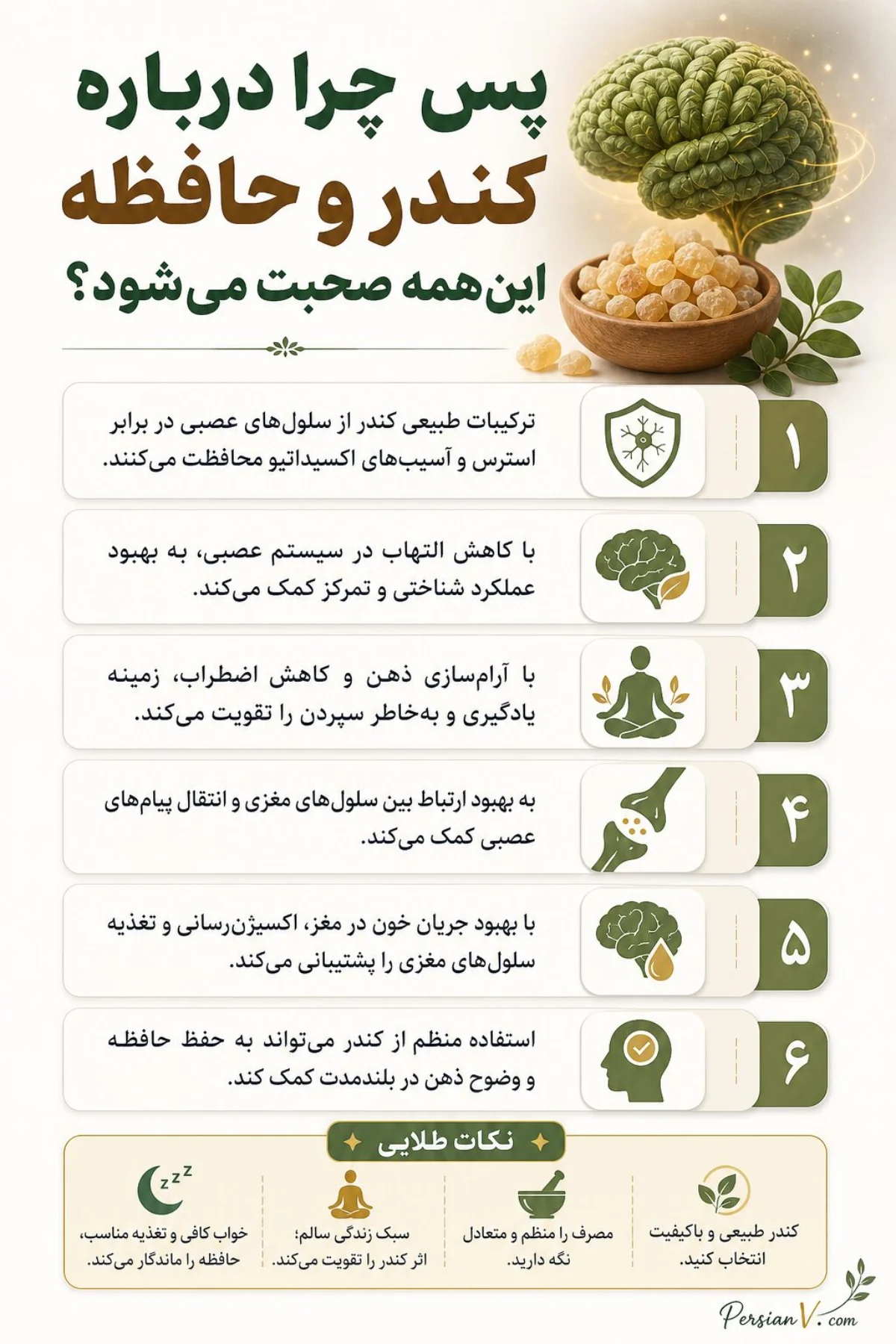 خواص کندر برای حافظه