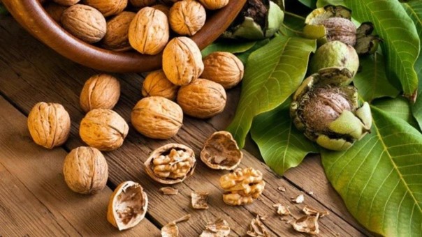 موهای زائدتان را با پوست گردو از بین ببرید