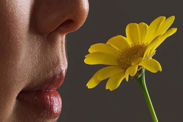 کم شدن حس بویایی