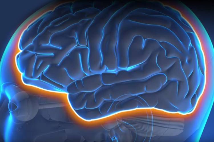 مهمترین علائم بیماری ام اس مهمترین علائم بیماری ام اس