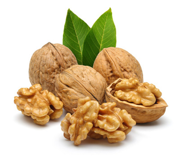 خواص گردو گردو