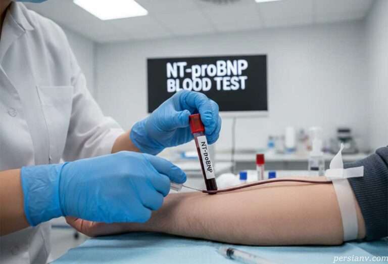 آزمایش NT-proBNP ؛ کلیدیترین شاخص تشخیصی برای ارزیابی سلامت قلب و نارسایی عروق