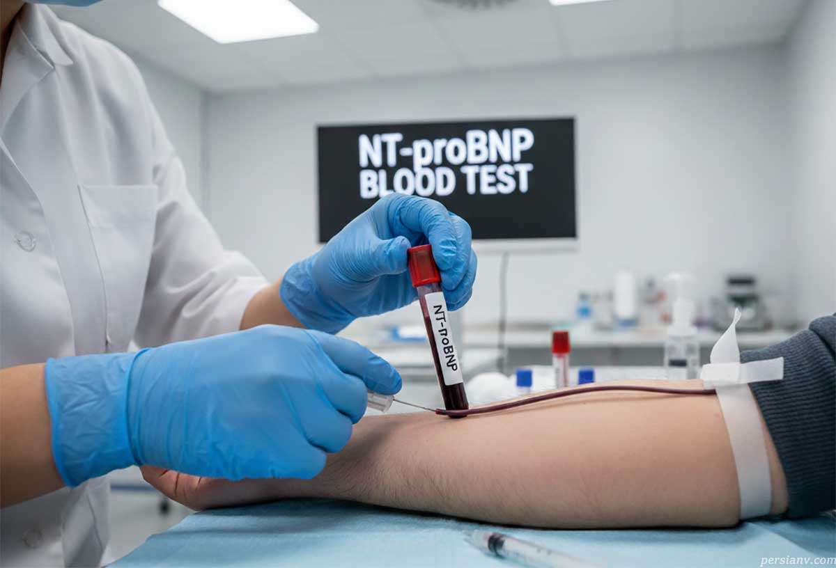 آزمایش NT-proBNP ؛ کلیدی‌ترین شاخص تشخیصی برای ارزیابی سلامت قلب و نارسایی عروق