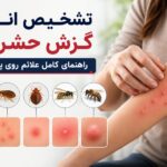 راهنمای کامل تشخیص انواع گزش حشرات از روی شکل ظاهری پوست