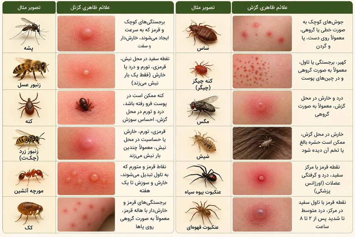  انواع گزش حشرات