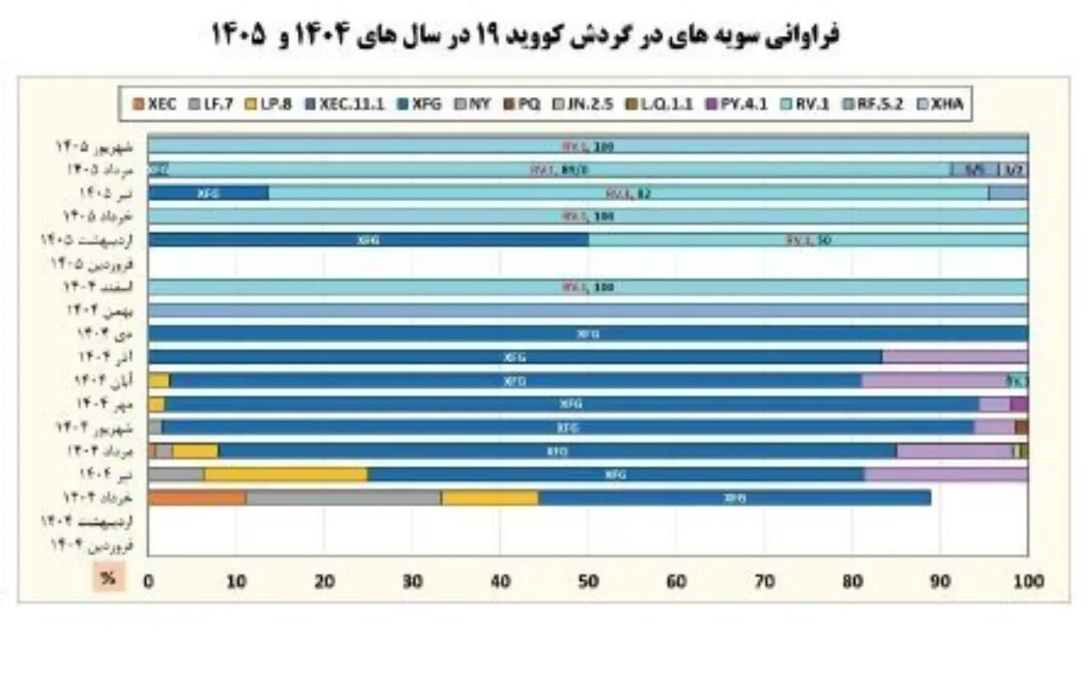 ۷۸ نمونه PCR که طی ماه گذشته تحت آزمایش توالییابی ژنتیکی قرار گرفتهاند، متعلق به سویه اومیکرون و زیررده XFG هستند. تمام نمونههای شهریور ماه و ۸۹ درصد از نمونههای مرداد متعلق ب ۷۸ نمونه PCR که طی ماه گذشته تحت آزمایش توالییابی ژنتیکی قرار گرفتهاند، متعلق به سویه اومیکرون و زیررده XFG هستند. تمام نمونههای شهریور ماه و ۸۹ درصد از نمونههای مرداد متعلق ب