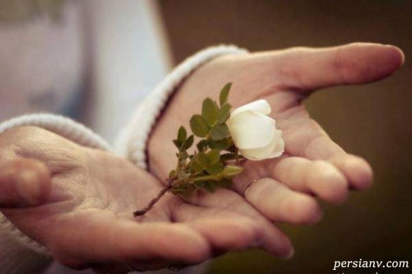 ارتباط اجتماعی عامل مهمی در سالم نگه داشتن جسم و فکر ماست تست مهربان بودن