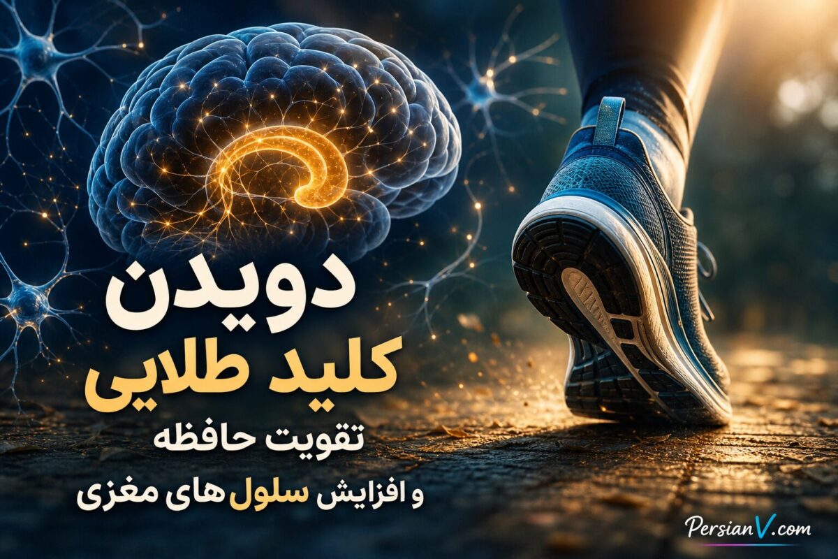 دویدن؛ کلید طلایی تقویت حافظه و افزایش سلول‌های مغزی