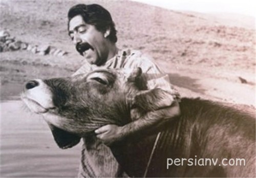 داریوش مهرجویی