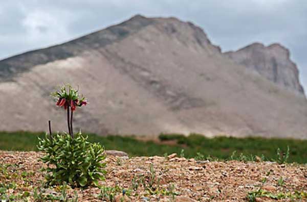  جاذبه‌های دیدنی و گردشگری