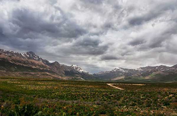 دشت لاله های واژگون گلستان کوه