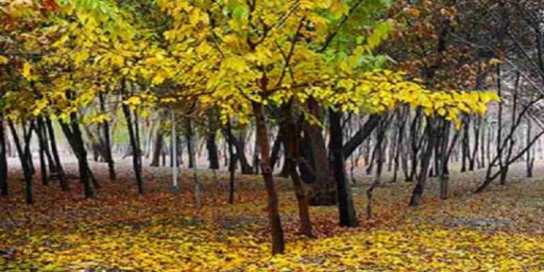 گشت و گذار یک روزه در طبیعت اصفهان