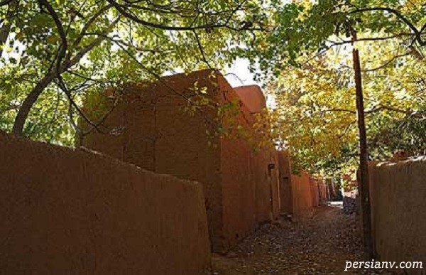 روستای ابیانه