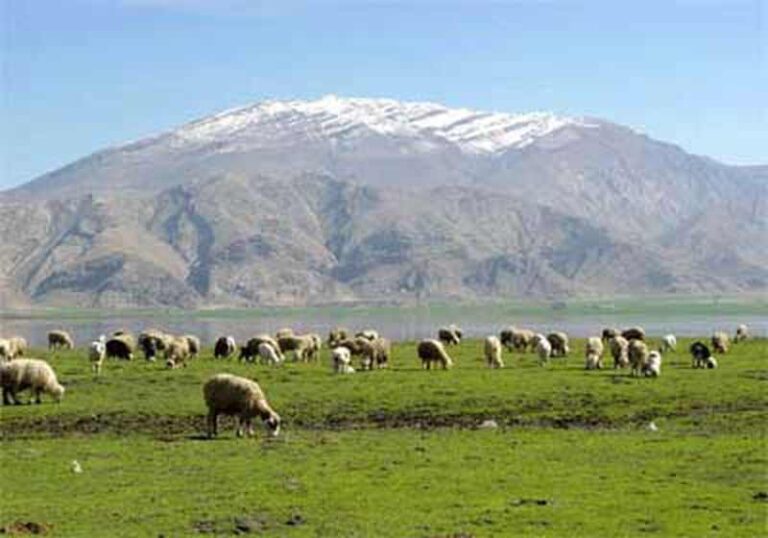 مکان های تاریخی ایذه