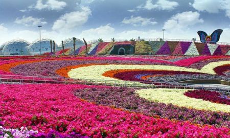 بزرگ ترین باغ گل موجود در جهان است باغ گل های طبیعی
