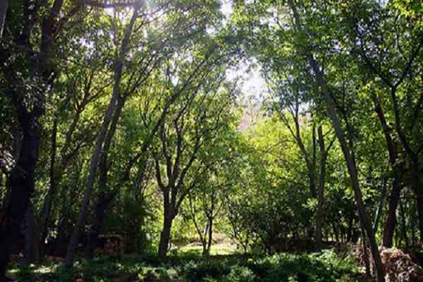 روستای اسفیدان ؛ ماسوله ای در خراسان