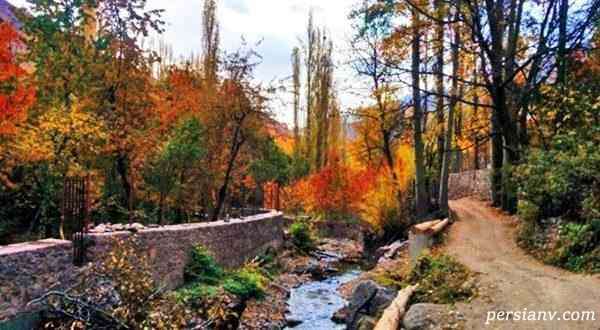 تهران