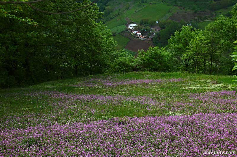 گیلده , روستایی با طبیعتی زیبا و جنگل‌های بکر در شمال ایران