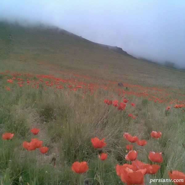 دره الوارس دره الوارس