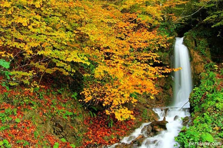 مازندران