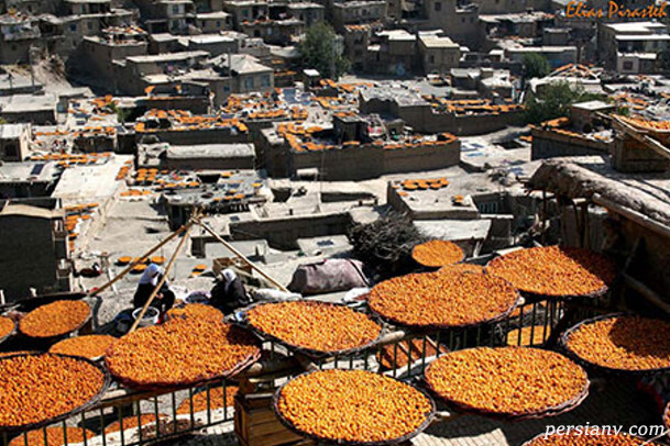 آلوی رسمی آلوی رسمی