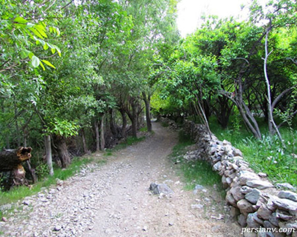 روستای خرو نیشابور روستای خرو نیشابور