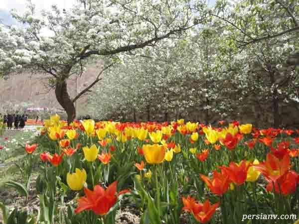 گچسر روستایی برای تمام فصول سال جاذبه ای بسیار دیدنی نزدیک پایتخت