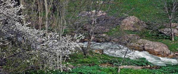 مراتع و گل های رنگارنگی آبشار نره گر طبیعتی بکر برای عاشقان طبیعت گردی
