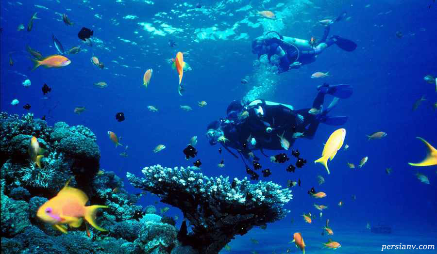 جاذبه های گردشگری بالی