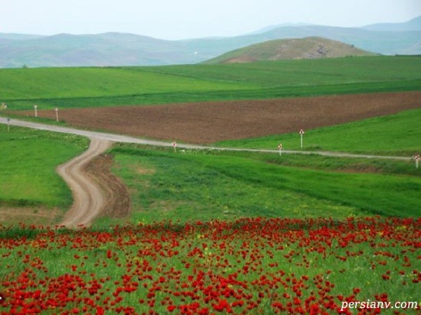 دشت مغان یه تکیه از بهشت در اردبیل + تصاویر