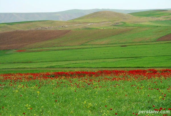 دشت مغان