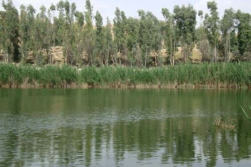 هشیلان ,تالابی زیبا و دیدنی با شگفتی های منحصر به فرد